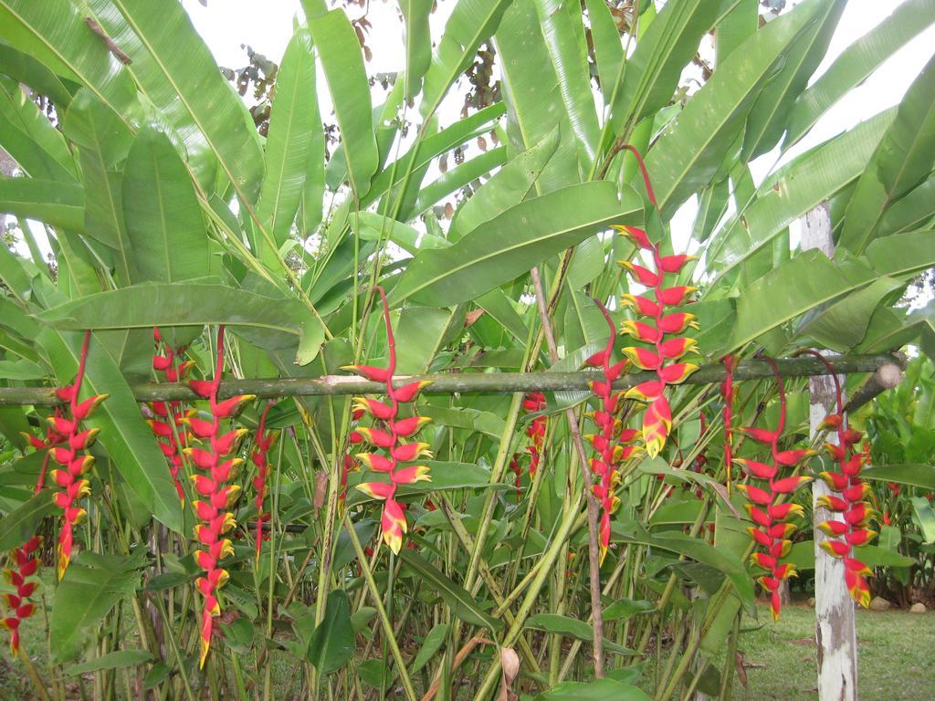 Finca Kobo Palo Seco Exterior photo